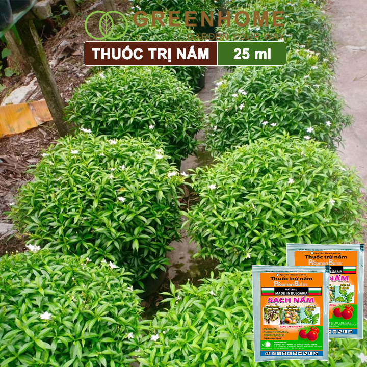 Thuốc trừ nấm Propman Bul 550sc, gói 25ml, chuyên trị Thán thư, thối nhũn, phấn trắng, rỉ sắt |Greenhome