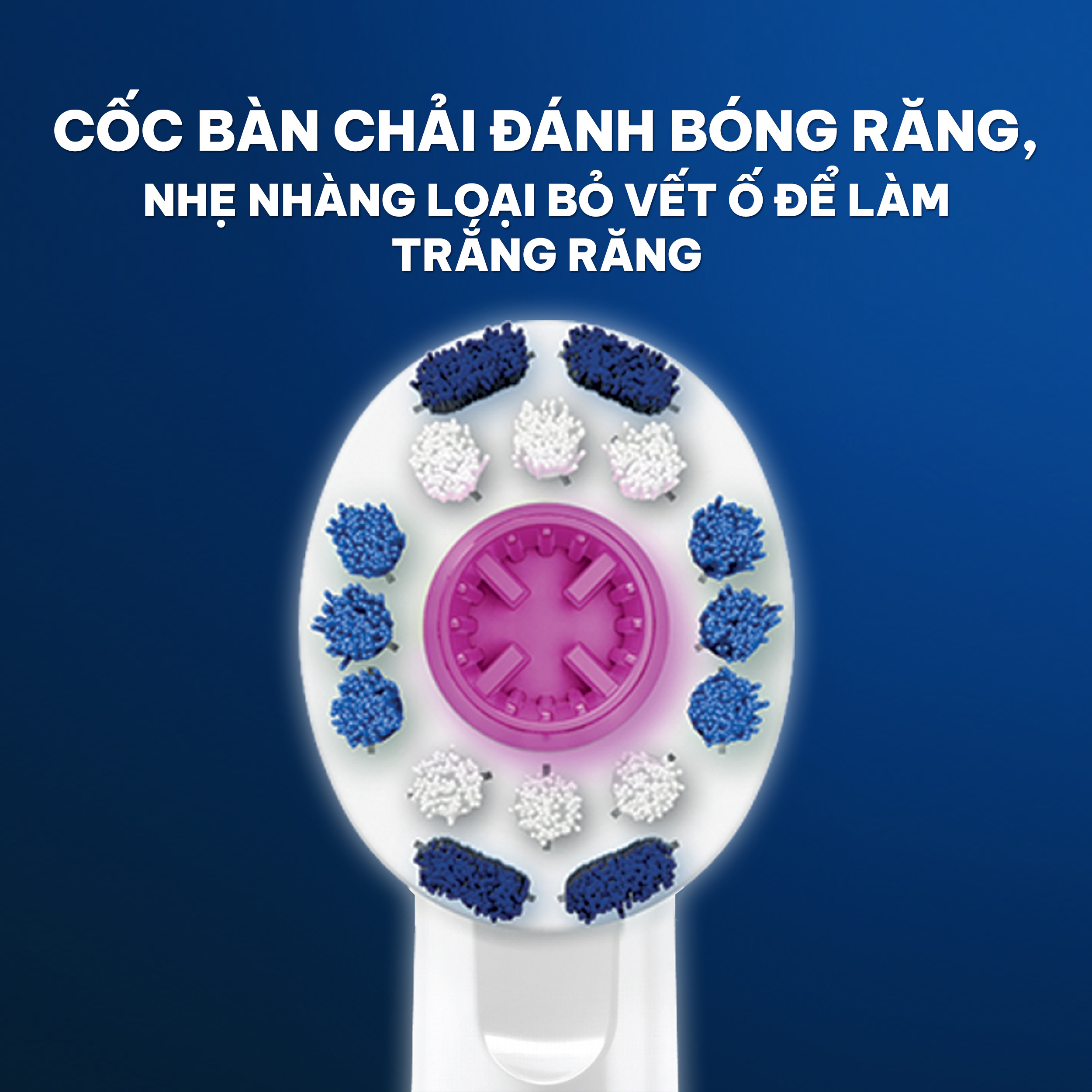 Đầu bàn chải Oral-B 3D White - Hàng chính hãng 100%