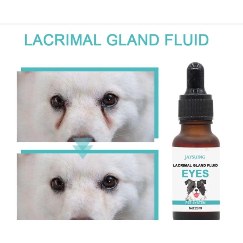 Siro Uống Chống Chảy Nước Mắt Ở Chó Mèo Lacrimal Gland Fluid Eyes