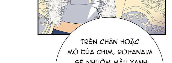 công chúa của loài chim chapter 49 23