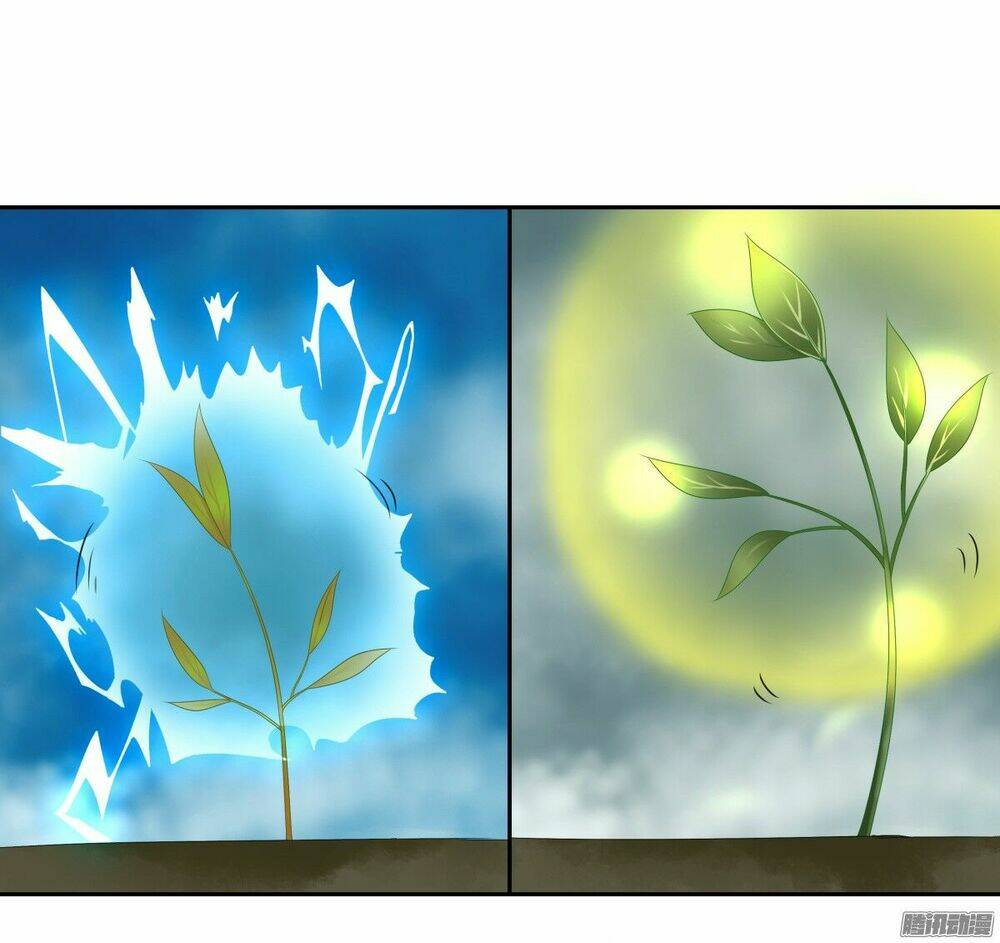 thần y khí nữ chapter 5 16