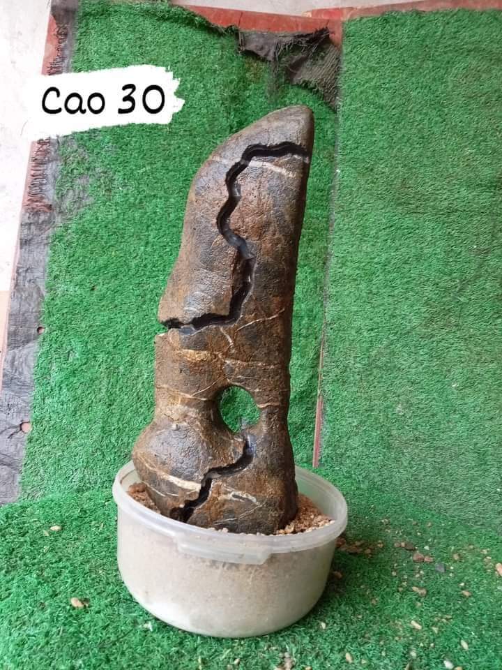Đá tai mèo, đá làm tiểu cảnh, làm hồ cá, ghép cây, hòn non bộ