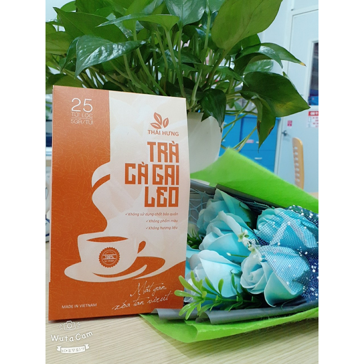 Combo 07 Hộp Trà Cà gai leo Thái Hưng 25 túi lọc x 05g - Mát gan, giải độc, giải rượu, giảm mụn nhọt