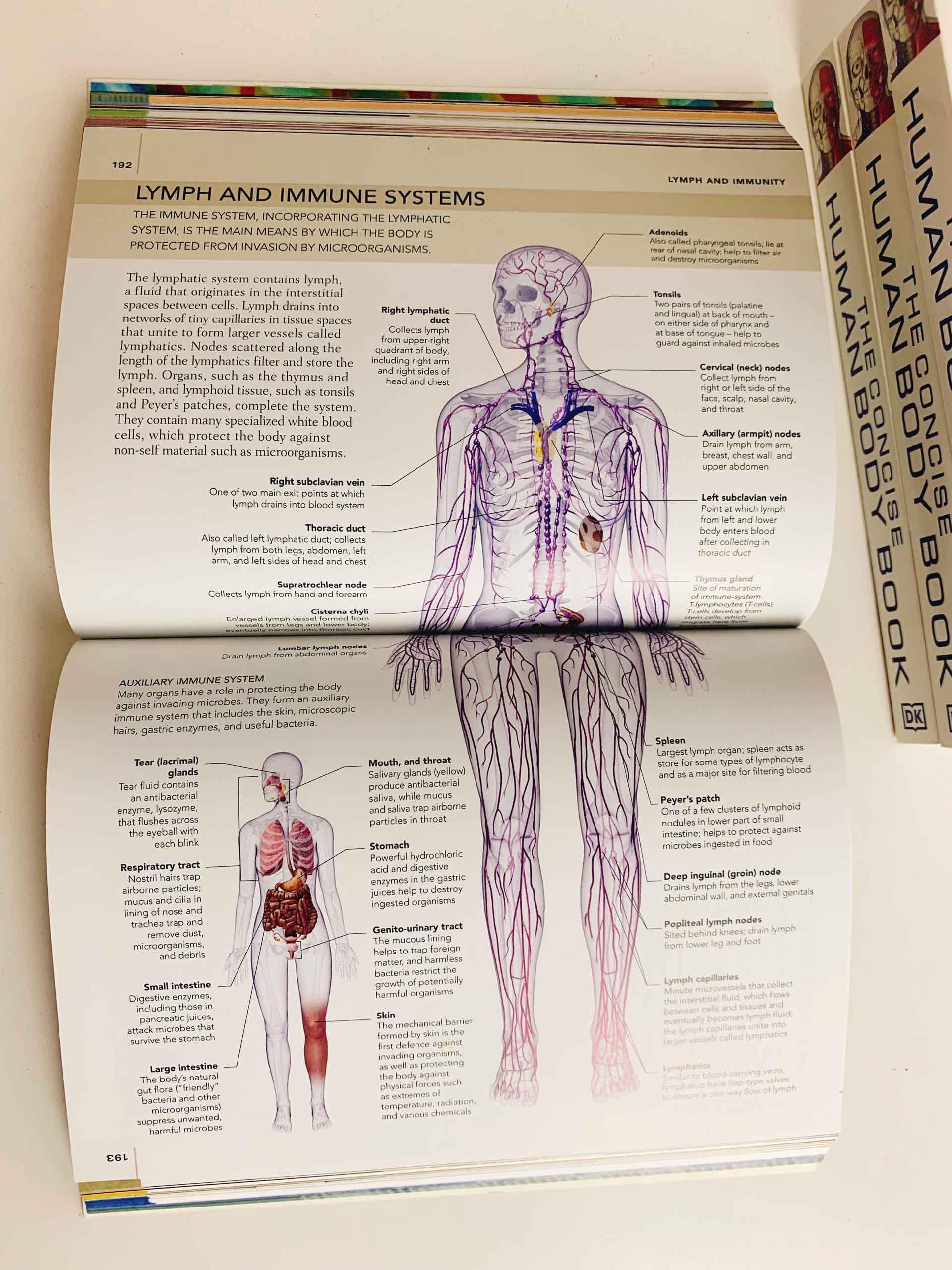 The Concise Human Body Book: An illustrated guide to its structure, function and disorders