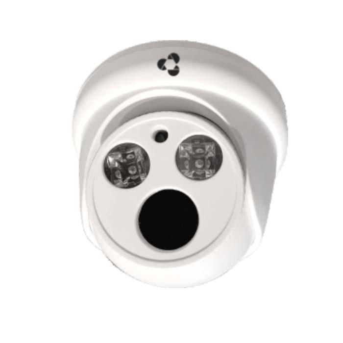 Camera IP Dome 2 MegaPixel Vantech VP-2110P - HÀNG CHÍNH HÃNG