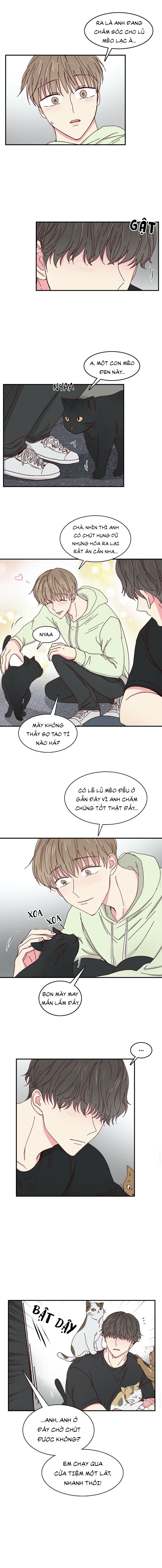 món tráng miệng của sếp tổng chapter 22 4