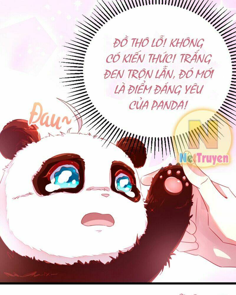 thiên thần gấu trúc muốn được ôm chapter 13 16