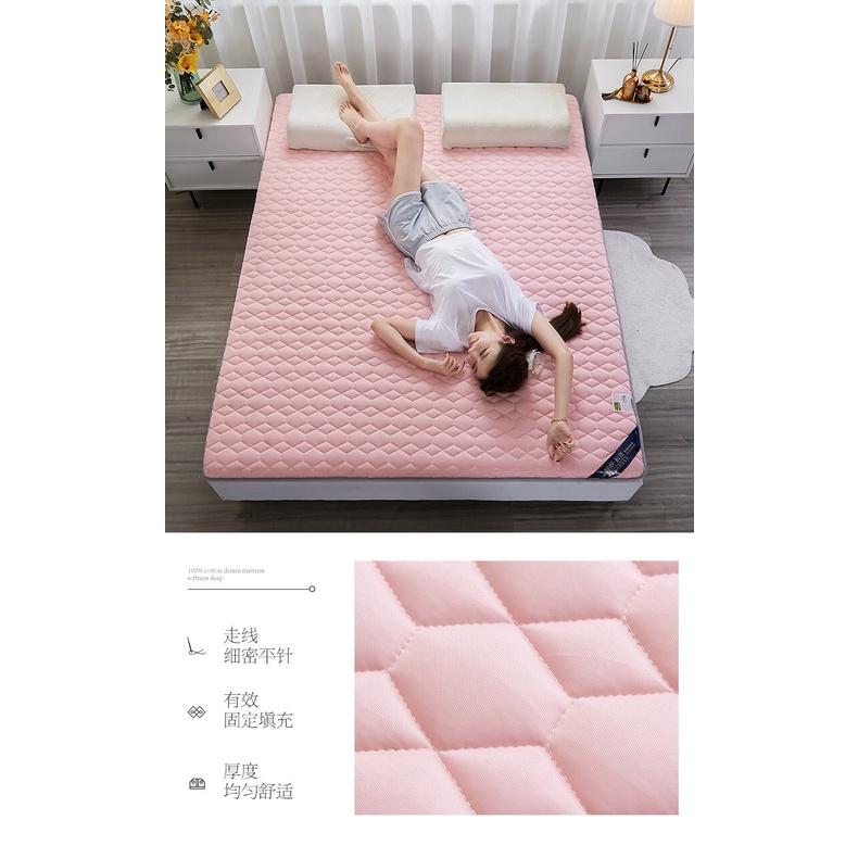 Đệm thảo dược hương Ngải cứu NATURAL cao cấp