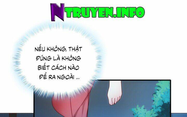 đô đốc đại nhân sủng thê kí chapter 2.5 28