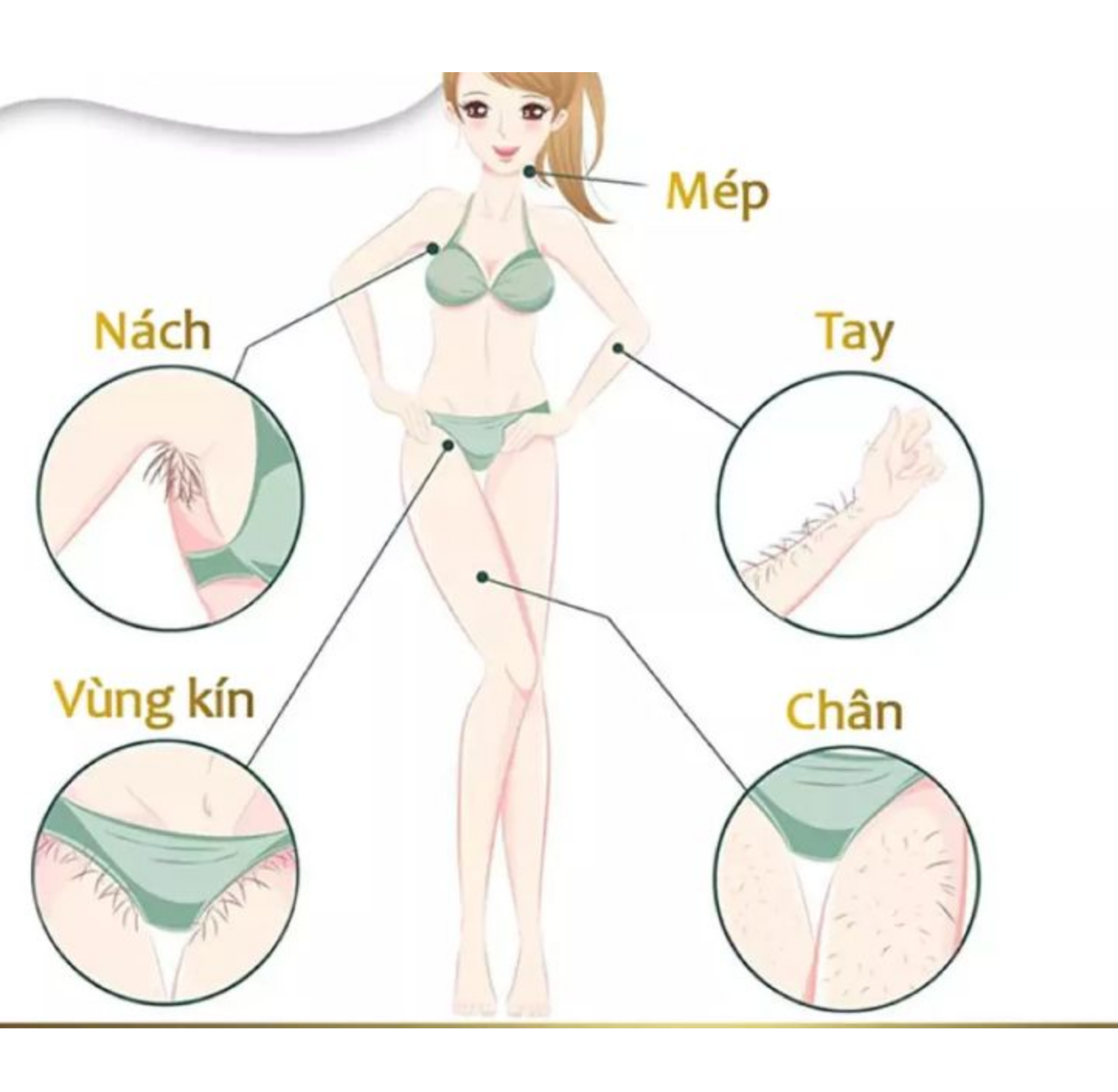 1 HỘP KEM TẨY RÂU LÔNG CHÂN LÔNG NÁCH TAY VÙNG KÍN TẨY SẠCH KHÔNG ĐAU HÀNG CHUẨN AN TOÀN