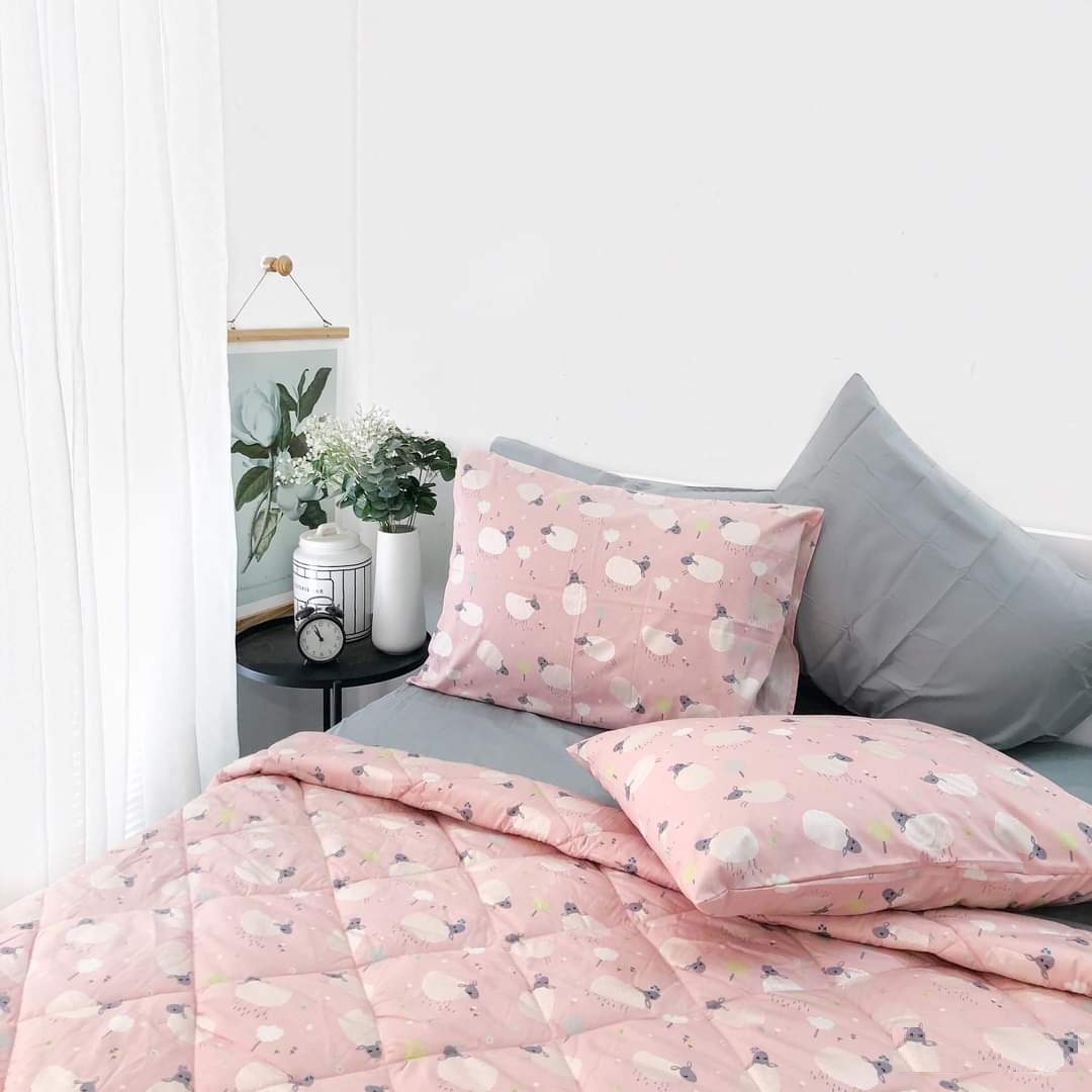 Bộ Ga Gối Vải Cotton Hàn Quốc Mịn Mát