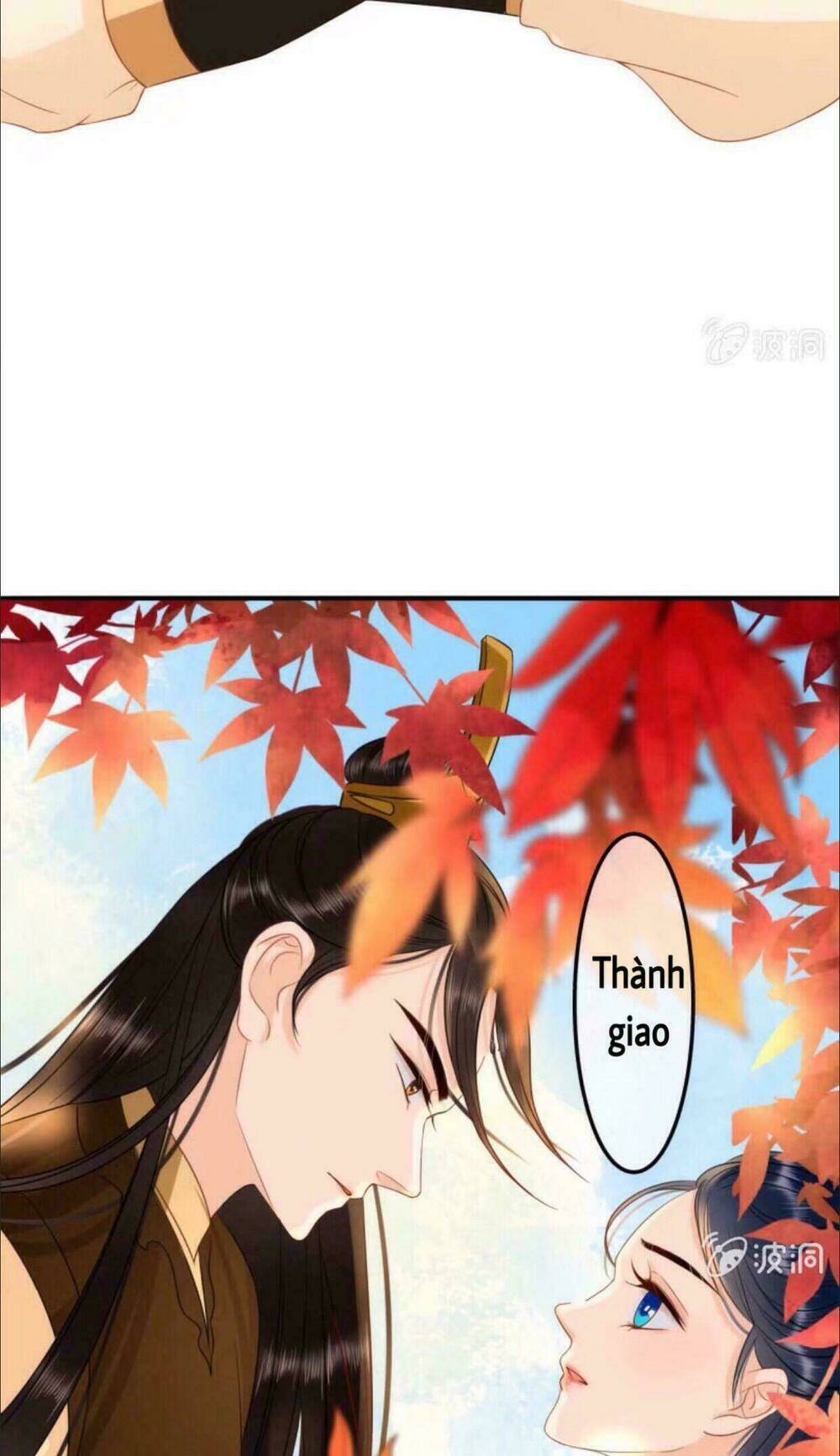 sủng phi của vương chapter 40 7