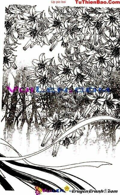 đóa hoa yêu kiều chapter 6 46