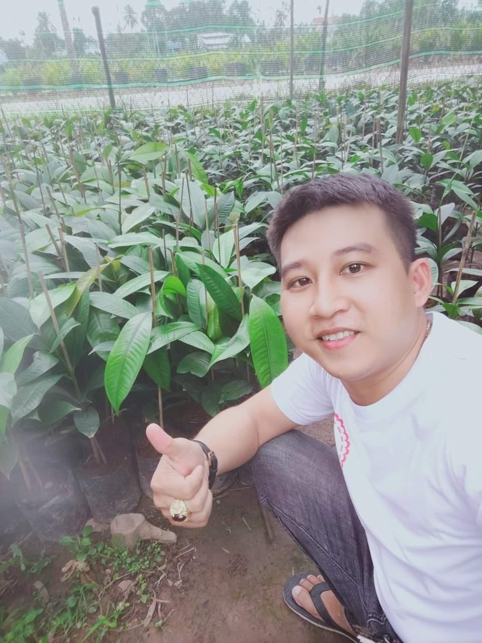 Cây măng cụt giống