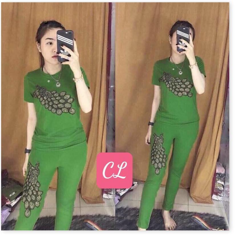 SET ĐỒ BỘ NỮ THUN