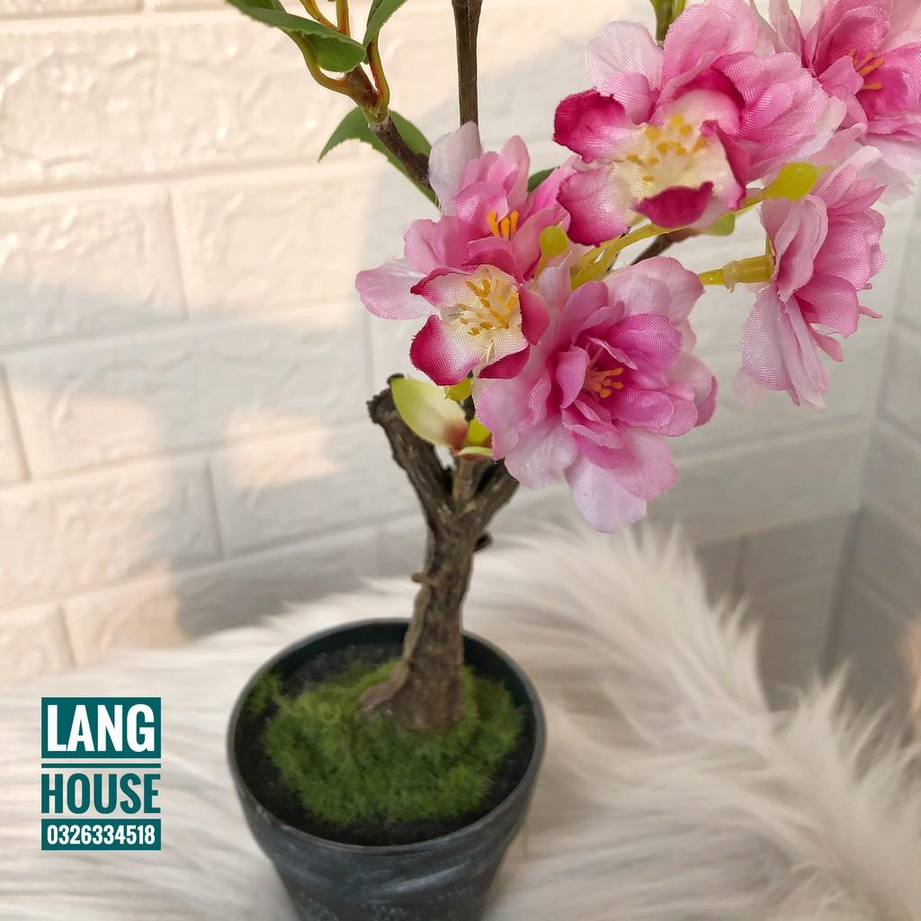 Hoa Giả Hoa Lụa - CHẬU HOA ĐÀO GIẢ CAO 40CM