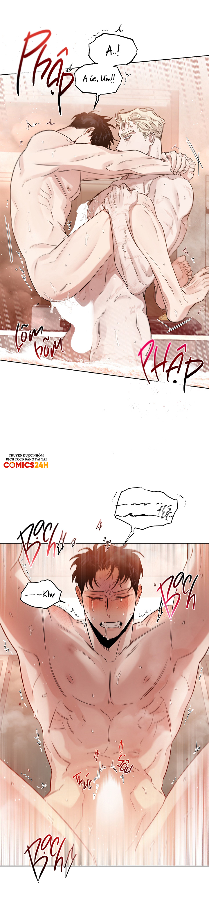 đoá hồng và ly champagne chapter 0.3 27