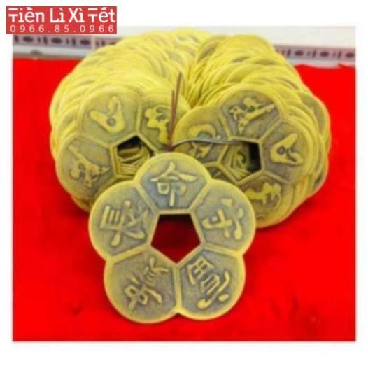 Đồng Tiền xu Hoa Mai phong thủy may mắn Mai Hoa Kim Tiền.