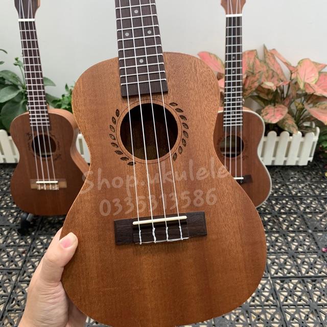 ĐÀN UKULELE CONCERT VIỀN LÚA