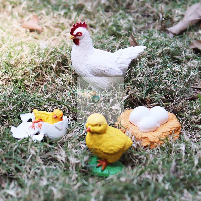 - Mô hình vòng đời của Gà -Học liệu Montessori - Chicken life cycle