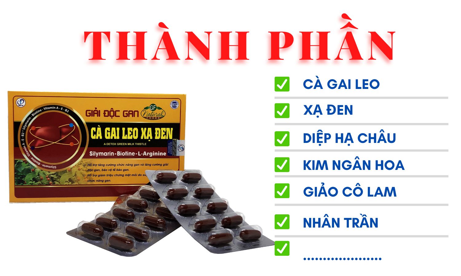 Cà Gai Leo Xạ Đen - Viên Uống Bổ Gan, Giải Độc Gan, Tăng Cường Chức Năng Gan