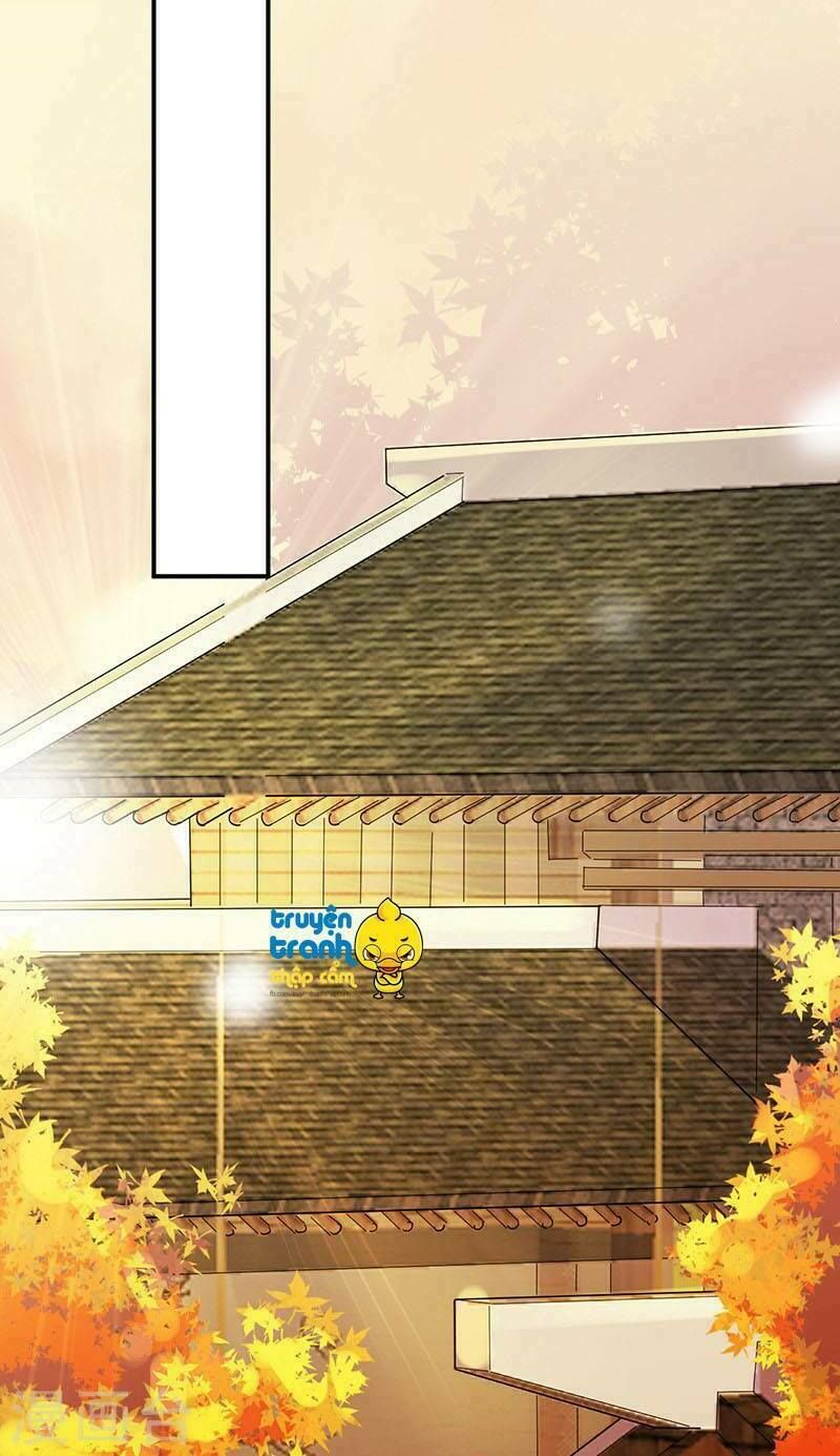 chọc tới chủ tịch tổng tài 2 chapter 63 10