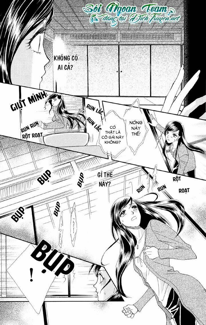 đóa hồng dành tặng seri chapter 1 20