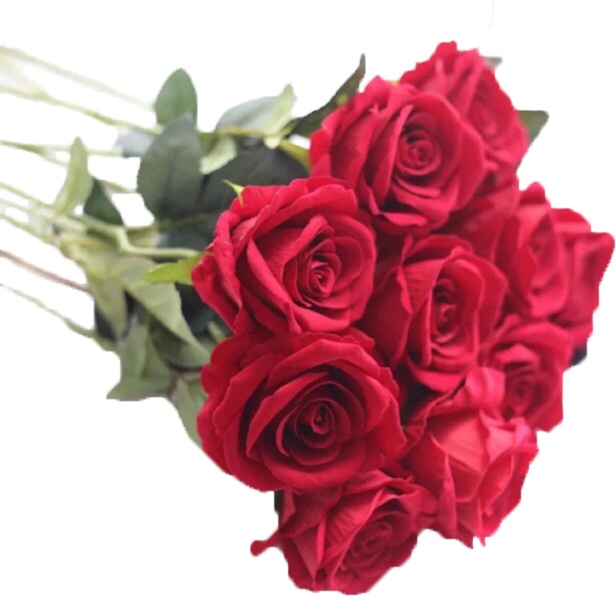 Combo 10 cành hoa giả - Hoa Hồng Nhung Lucas 65cm trang trí đẹp, giống thật