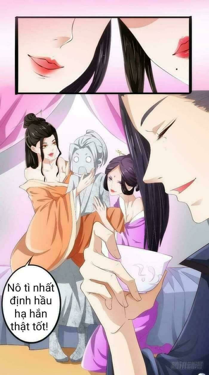 thịnh thế y nữ - lãnh vương sủng phi chapter 19 15