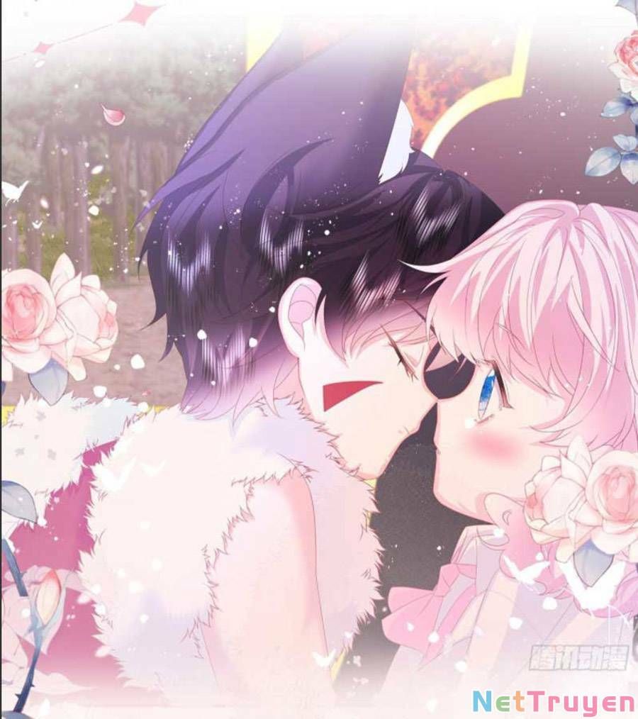 ninita yêu dấu chapter 0 11