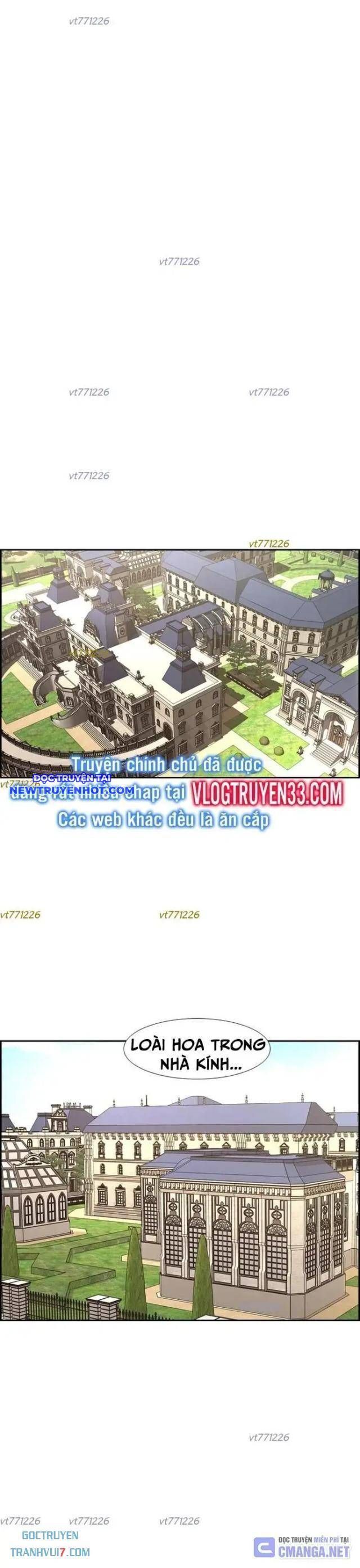 shark - cá mập chapter 240 19