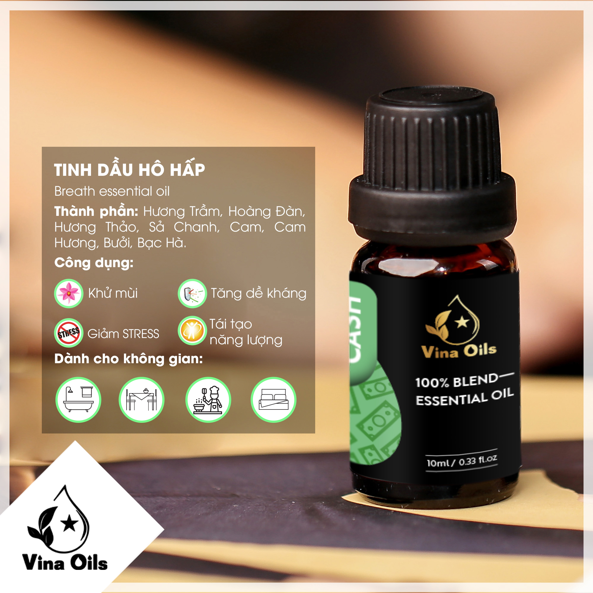 Tinh Dầu Hợp Chất Cash Vina Oils 10ml - Chiết Xuất Từ Oải Hương, Xô Thơm, Long Não - Hương Thơm Tươi Mát Mang Phong Thuỷ Tốt, Mang Lại Sự Thịnh Vượng, Phát Tài Phát Lộc