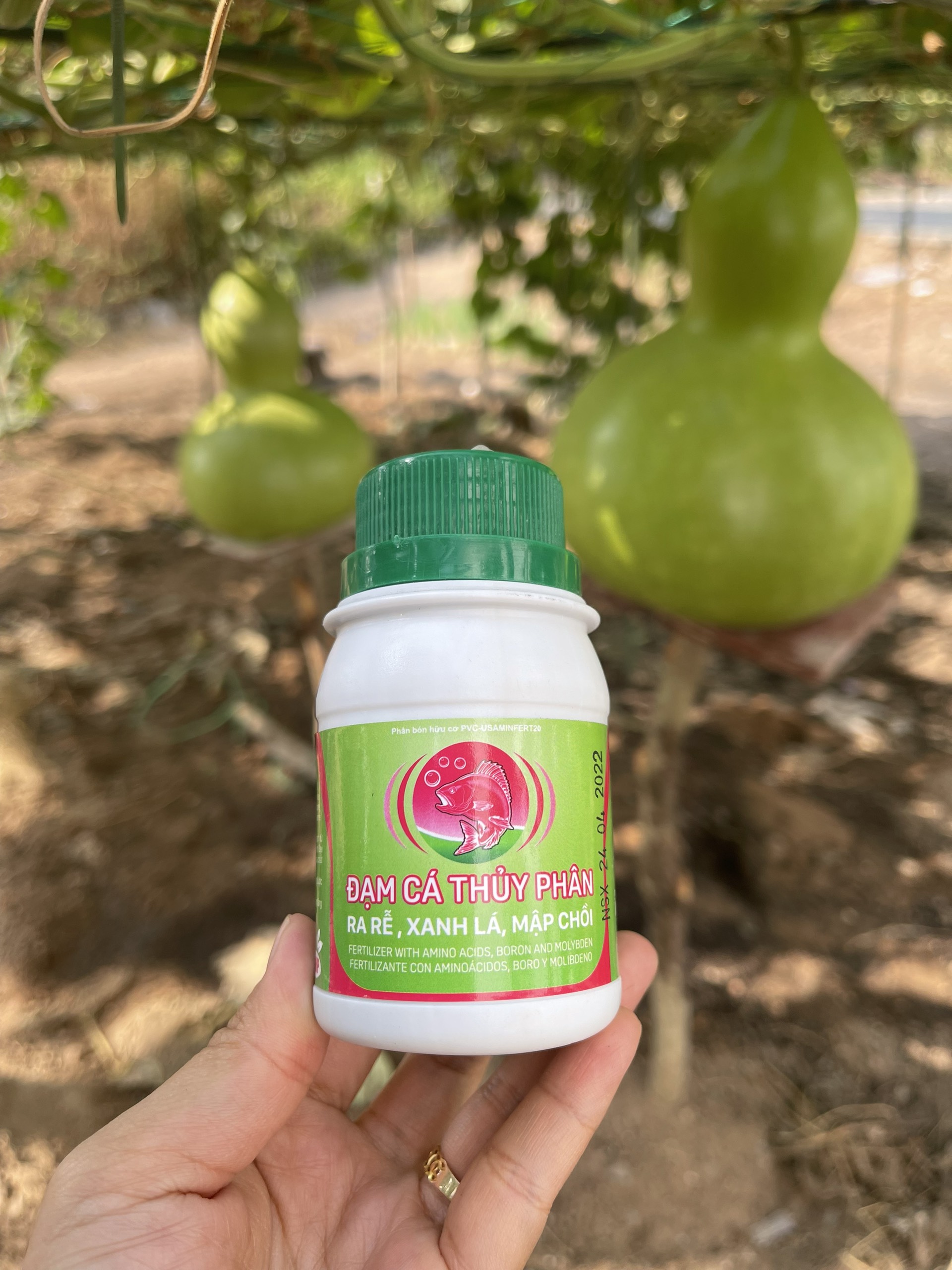 Phân đạm cá thủy phân chai 100ml