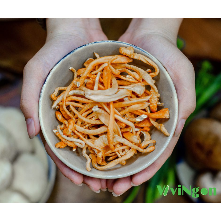 Nấm nhộng trùng thảo Cordyceps militaris loại 1 sấy thăng hoa 10g, dược chất cao, đông trùng hạ thảo, vivingon, medifun