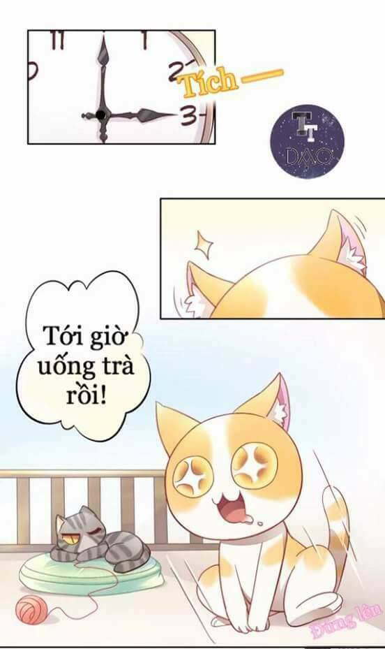 thị hoang chi thần chapter 6 2