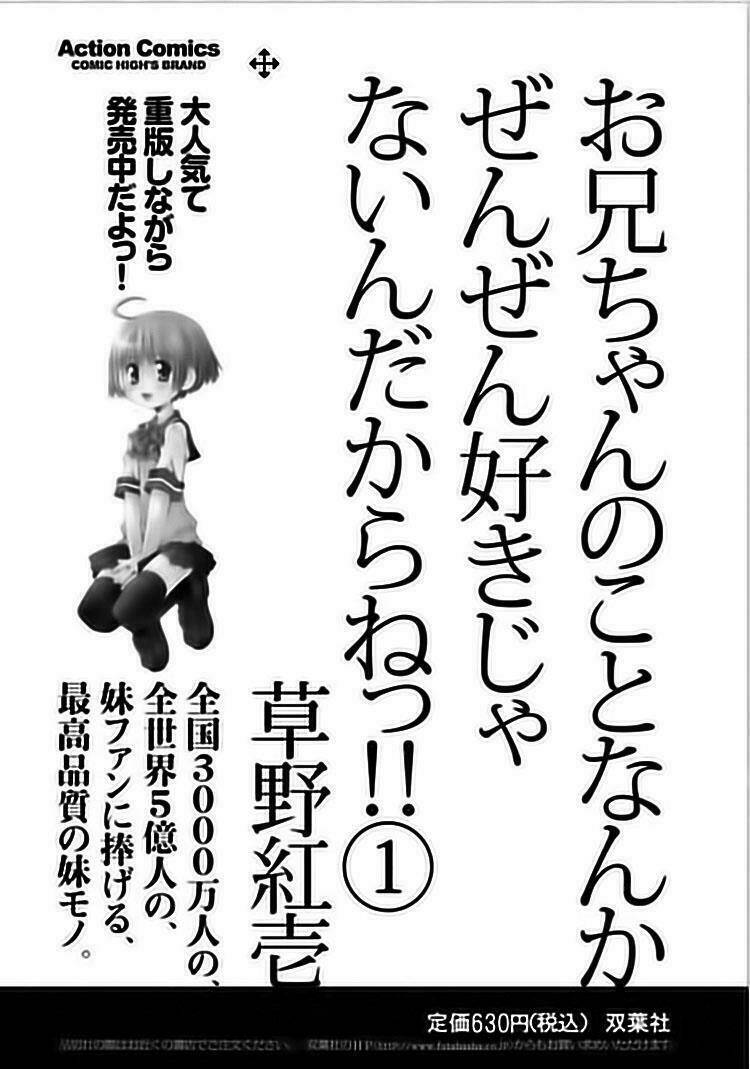 oniichan no koto nanka zenzen suki ja nai n da kara ne!! chapter 12.5 9