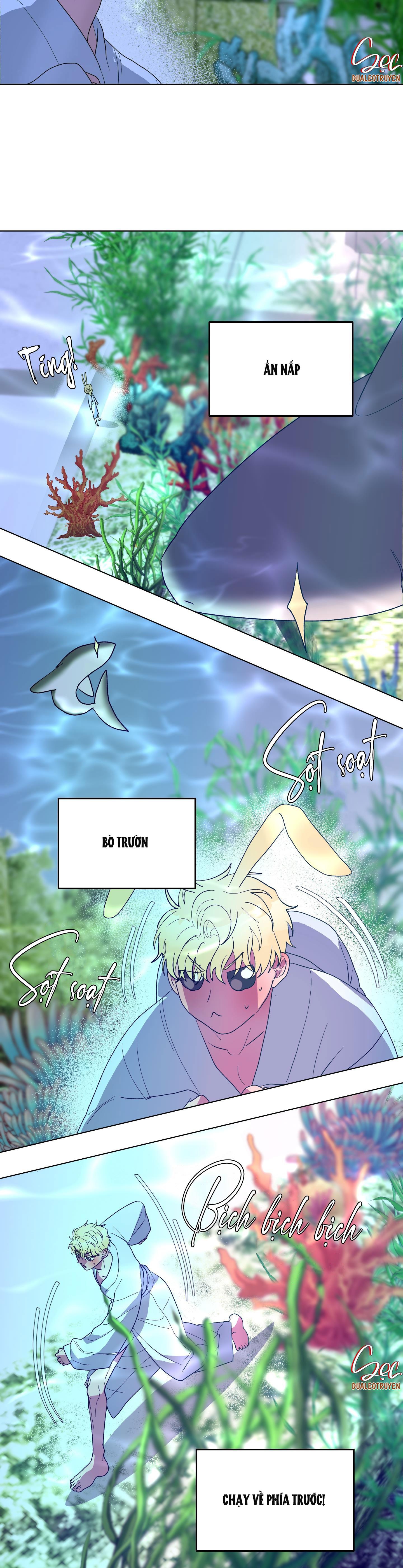 cá mập và cô dâu thỏ chapter 14 9