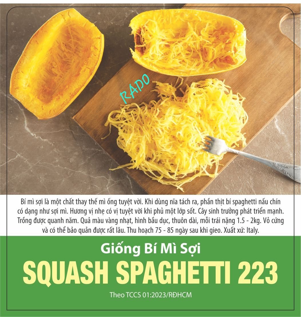 Hạt giống Bí Sợi Mì Ý Spagheti