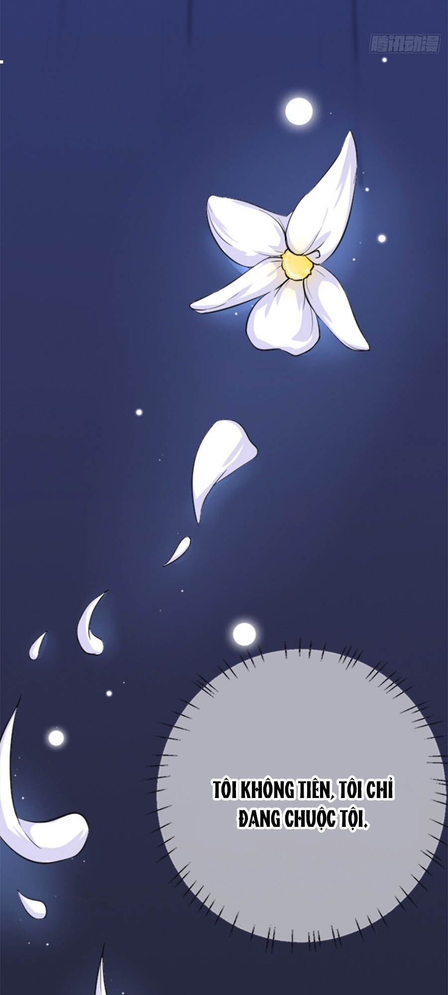 hãn phi đương gia: lãnh vương xin tự trọng chapter 1 16