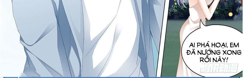 lóe thiểm hôn kiều thê mơ tưởng trốn chapter 258 8