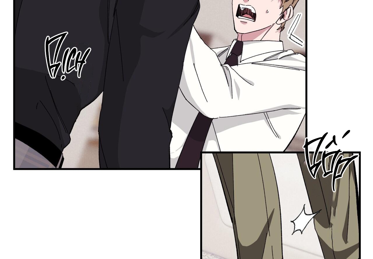 chàng dâu nhà họ kang chapter 33 162