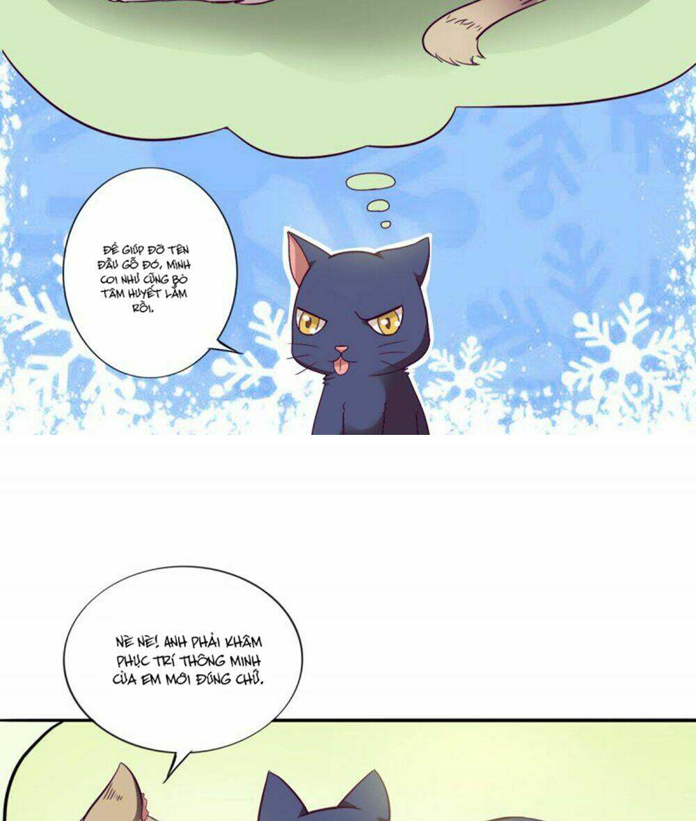 hai chú mèo totem chapter 3 4