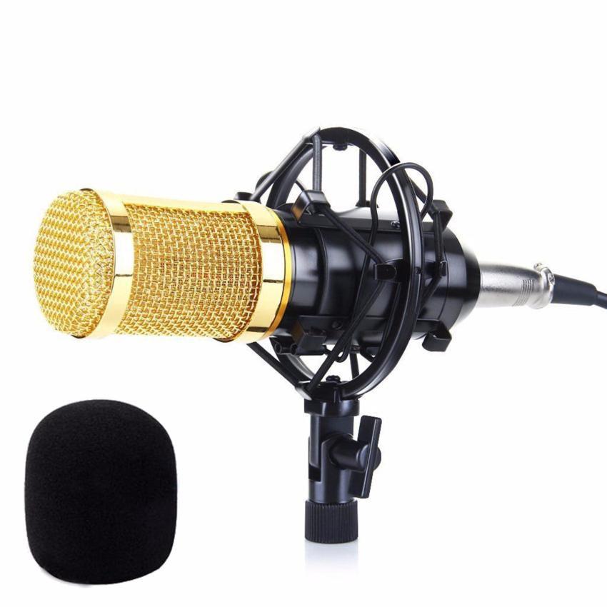 MIC THU ÂM CHUYÊN NGHIỆP BM8009000