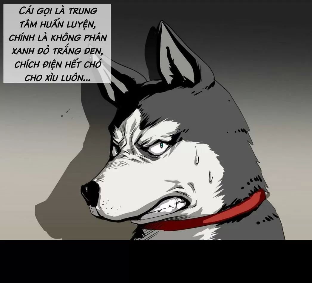 một con chó chapter 58 10