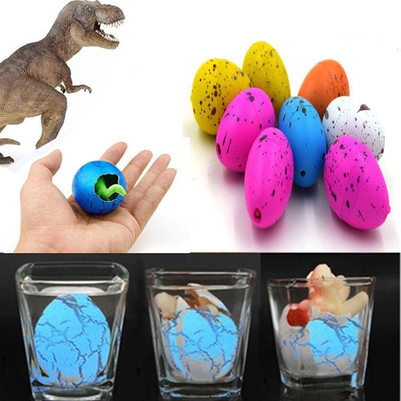 Bộ 6 sản phẩm trứng khủng long nở đồ chơi nở trong nước