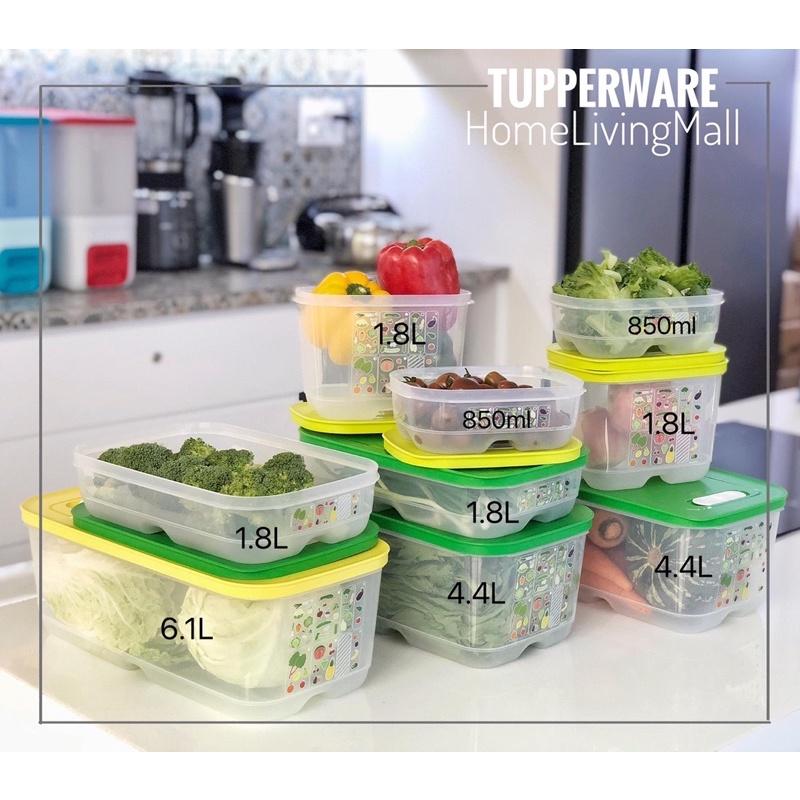 Bộ Trữ Mát Tupperware Ventsmart Set 7