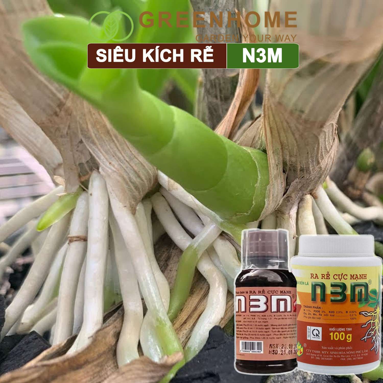 Thuốc kích rễ N3M, chai 100ml, siêu ra rễ, giâm, chiết cành, ngâm hạt giống |Greenhome