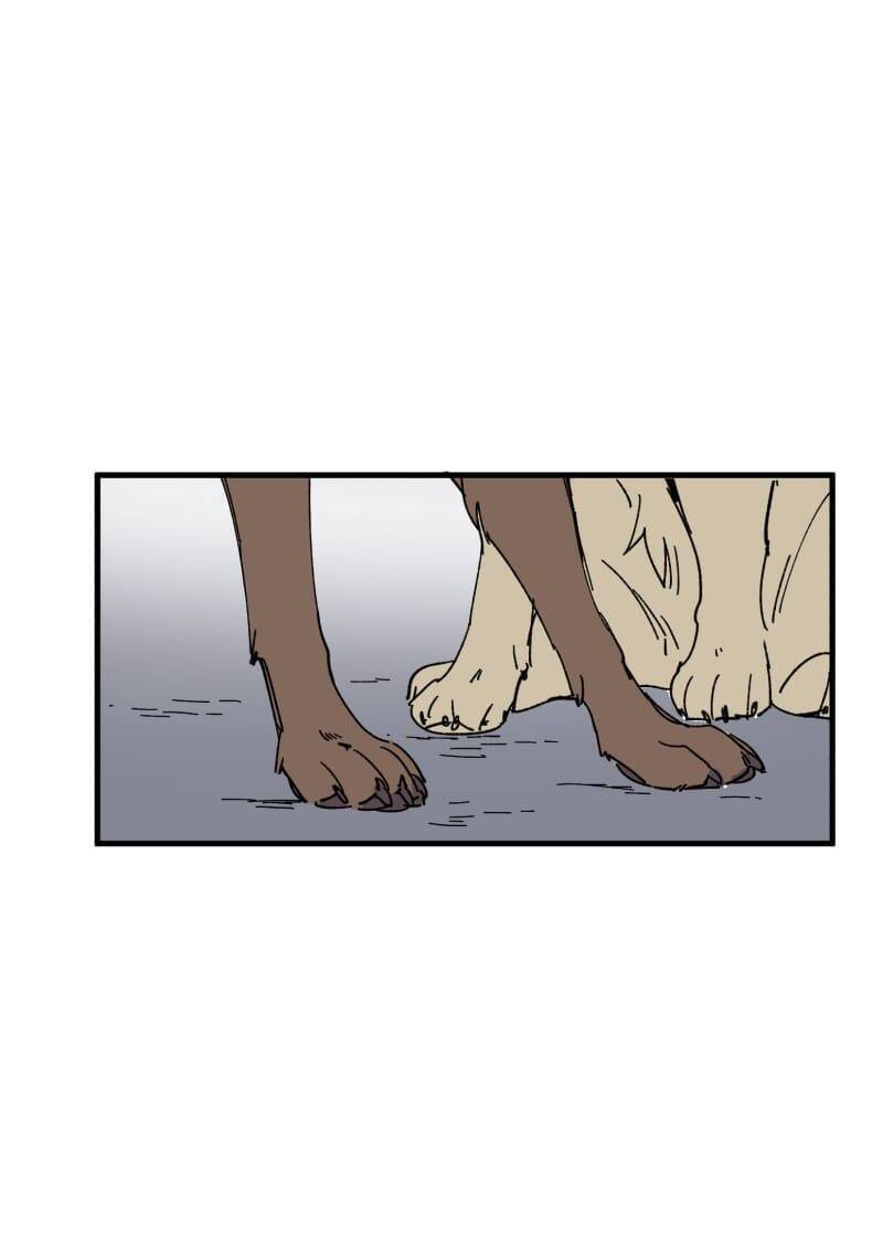 lumine - cội nguồn ánh sáng chapter 152 18