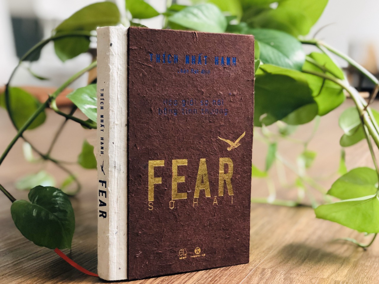 FEAR - SỢ HÃI (Ấn bản giới hạn)