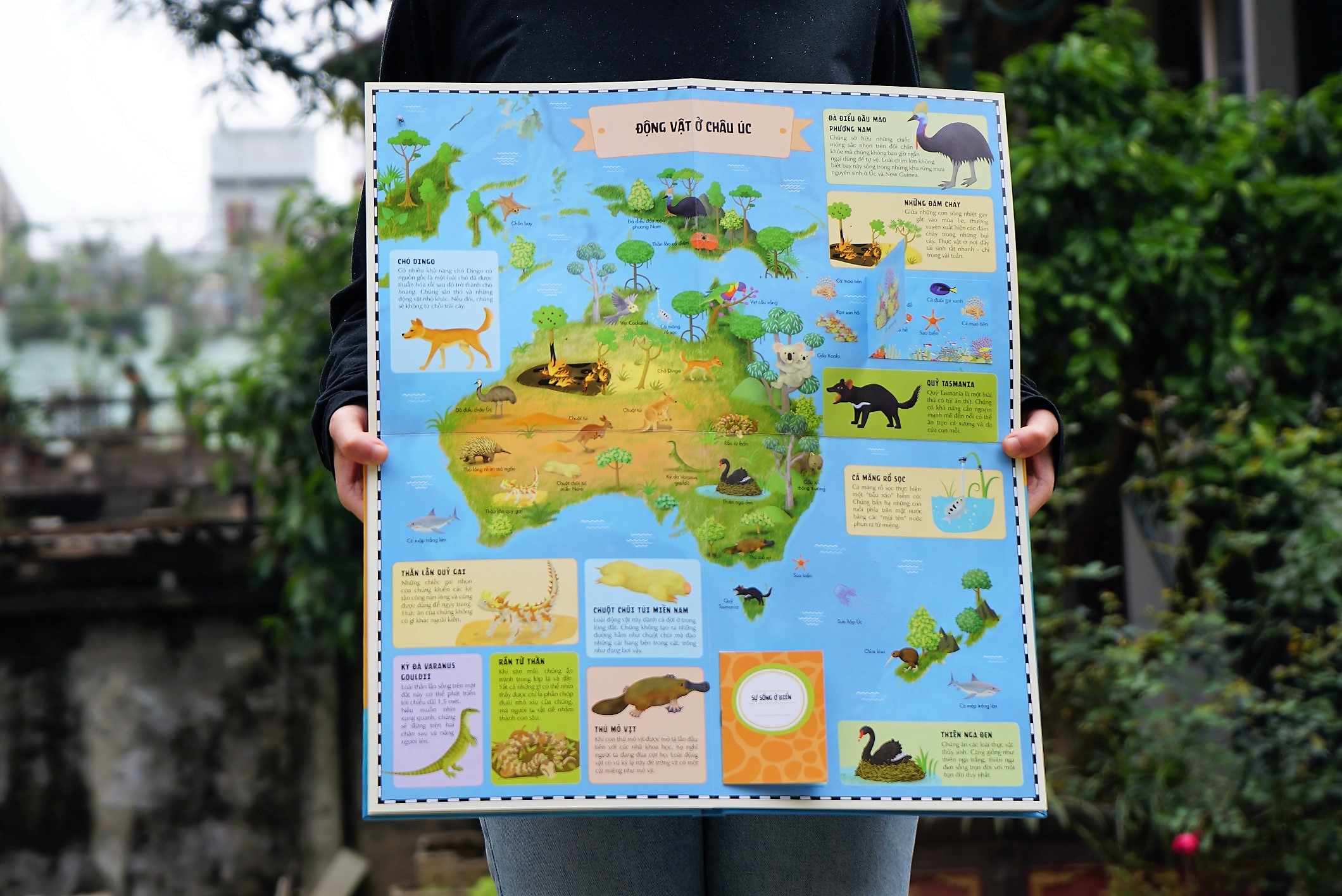 Sách Atlas Động Vật – Khám Phá Thế Giới Động Vật  – Đinh Tị